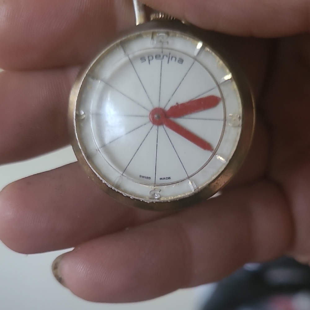 Sperina Gold and Red Watch Pendant